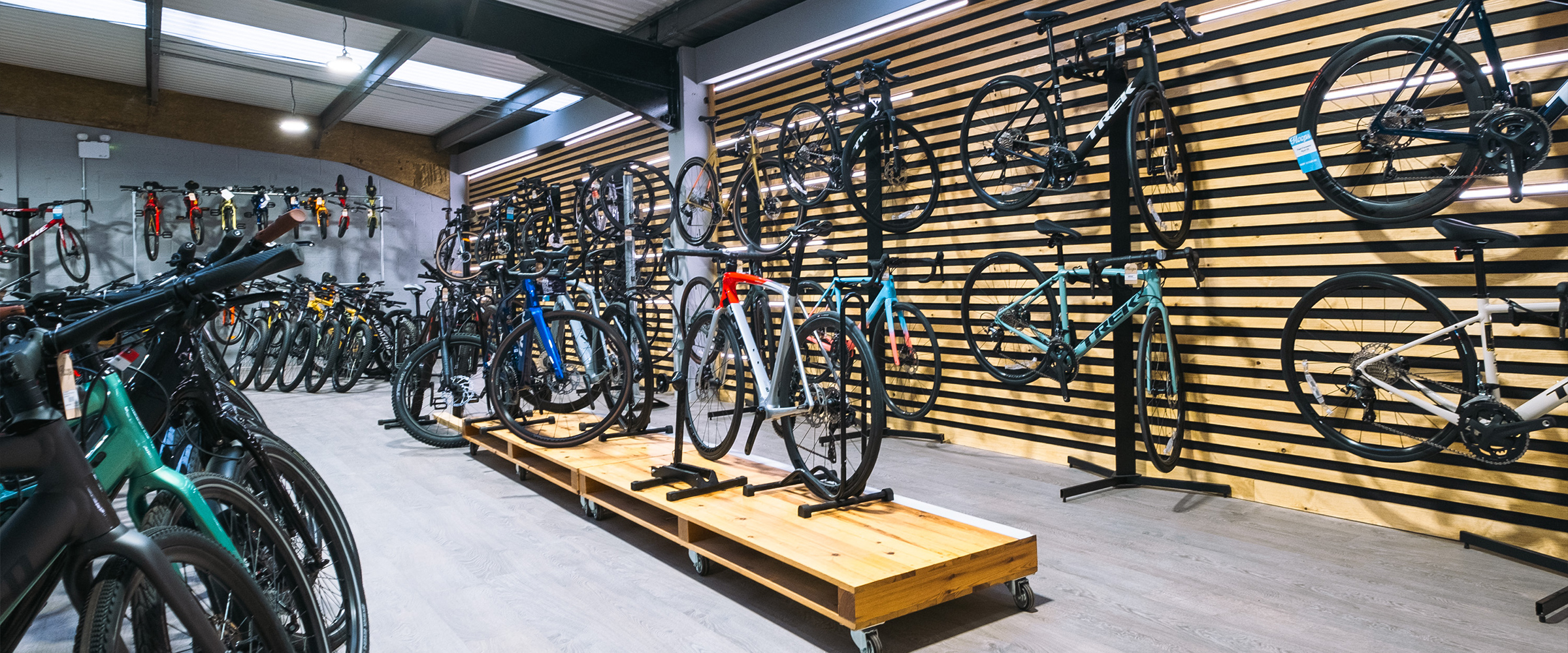 Find Your Ride: Road Bikes