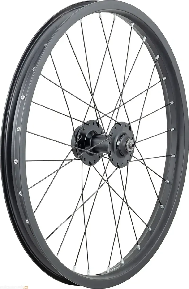 Trek JK30/DC20 6B 20-inch 28-hole QR Disc Cass. Front Wheel in Black-1
