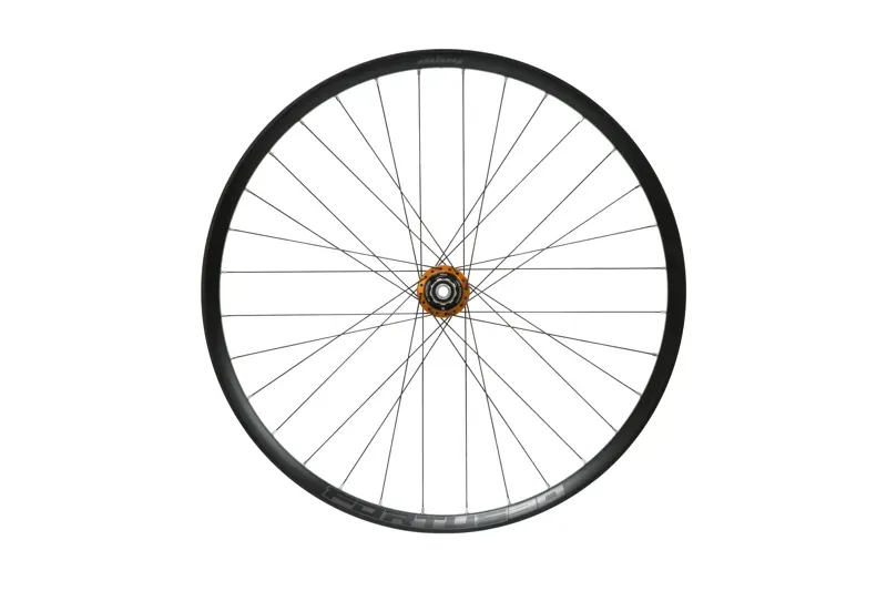Hope Fortus 30W-P Rear 29ER Wheel-1