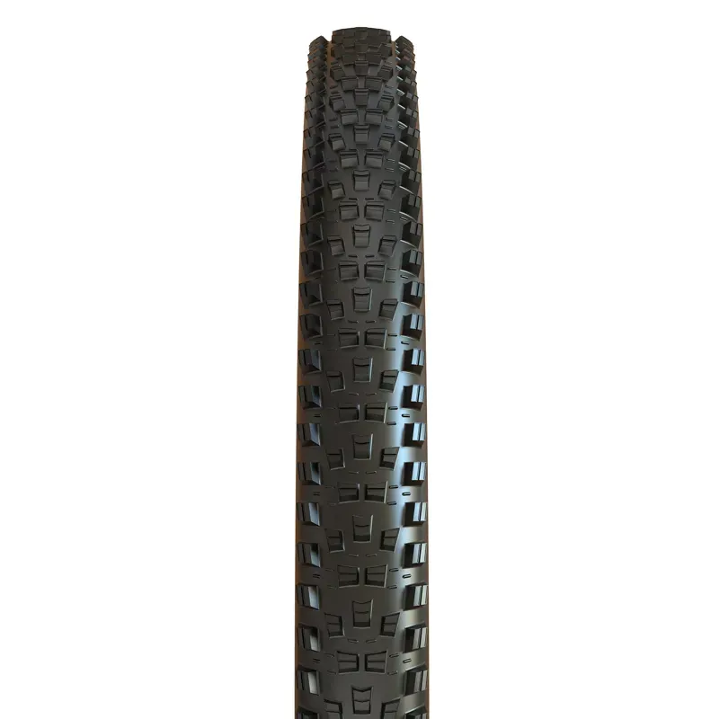 Maxxis Forekaster Tire MT/EXO/TR 29x2.4-inch in Black-1