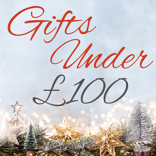 Cycling Christmas Gifts Under £100