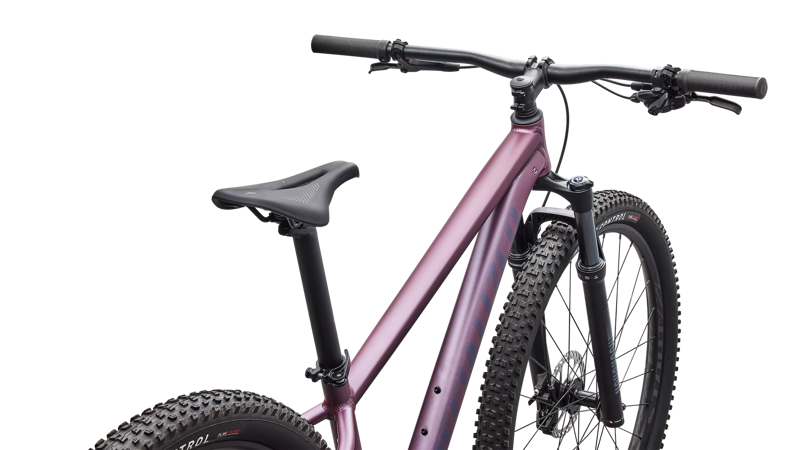 2026 Specialized Rockhopper Expert Hardtail Mountain Bike in Satin Quartz Metallic-3