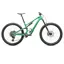 Specialized Stumpjumper 15 Expert Mountain Bike in Satin Electric/Forest Green