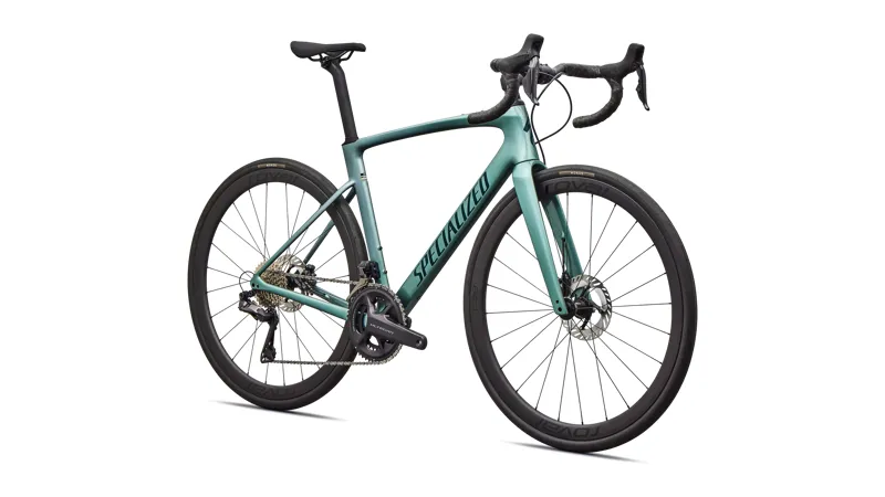 Specialized Roubaix Expert Road Bike in Gloss Fjord Metallic-1