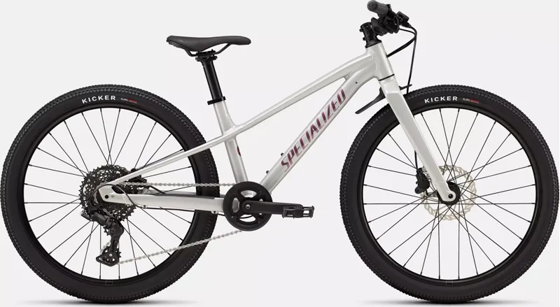 Specialized Riprock 24  Kids Bike in Gloss Dolomite Metallic / Quartz Metallic