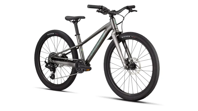 Specialized Riprock 24 Kids Bike in Gloss Smoke / Fjord Metallic-1