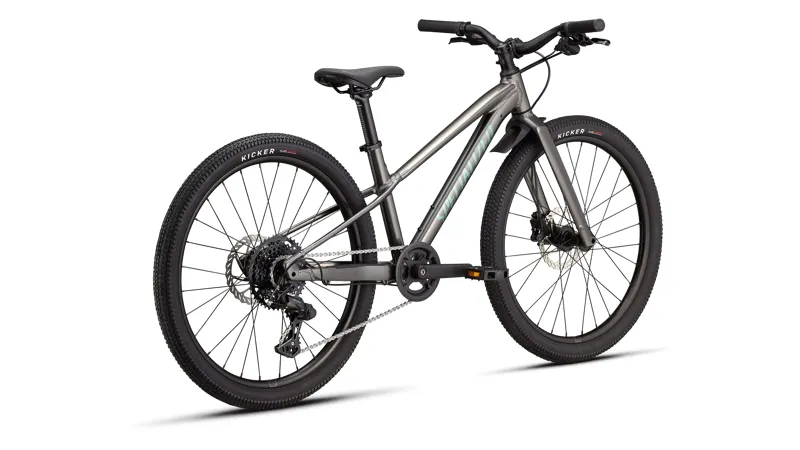 Specialized Riprock 24 Kids Bike in Gloss Smoke / Fjord Metallic-2