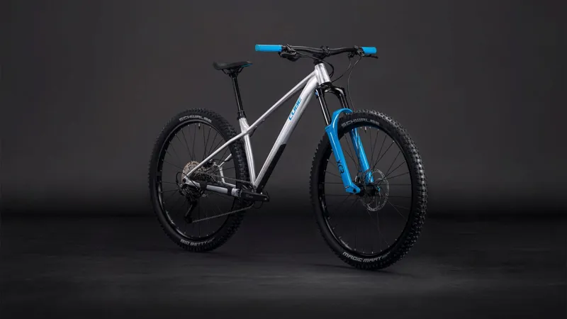 Cube Reaction TM One 2026 Hardtail Mountain Raw Metal/Blue-1
