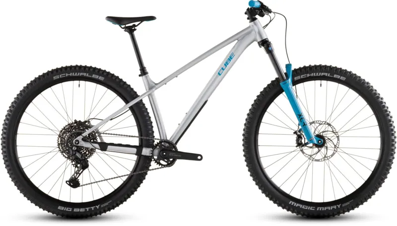 Cube Reaction TM One 2026 Hardtail Mountain Raw Metal/Blue