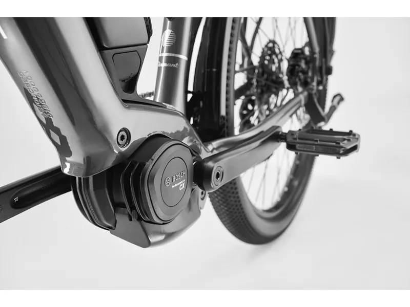 Diamant Zing Trip Core Low-Step Hybrid/City Bike 545Wh in Baumwollweiss White-2