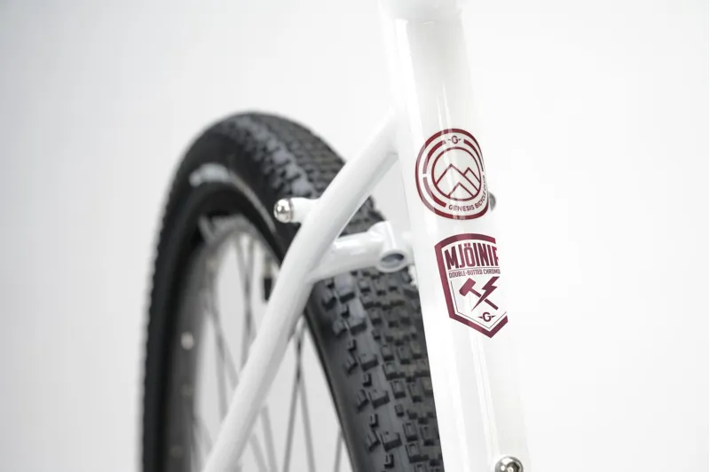 Genesis Croix De Fer 10 Gravel Road Bike in White-4