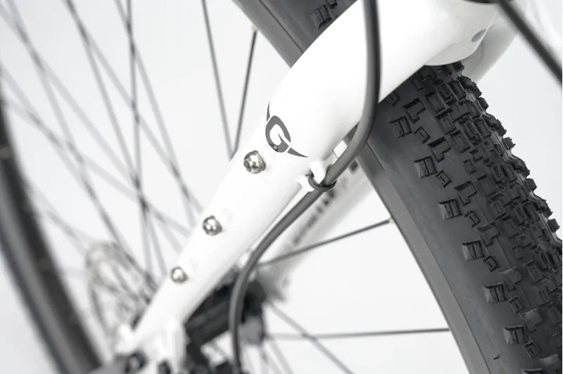 Genesis Croix De Fer 10 Gravel Road Bike in White-9