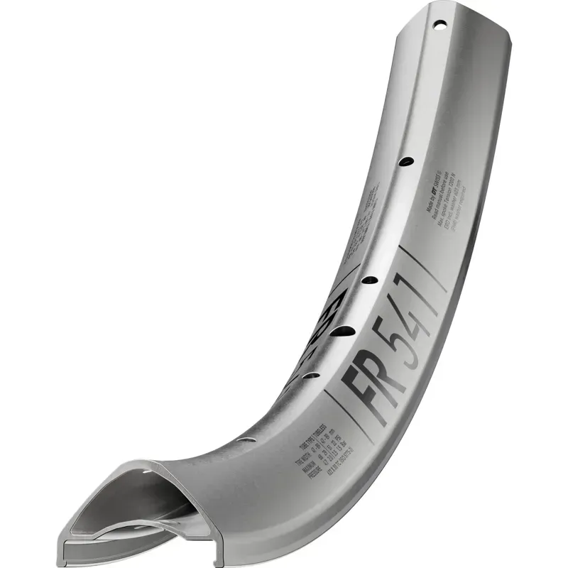 DT Swiss FR 541 Disc 32H Rims in Silver