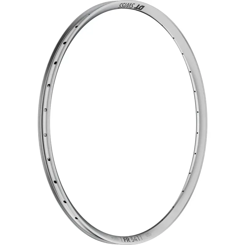 DT Swiss FR 541 Disc 32H Rims in Silver-1