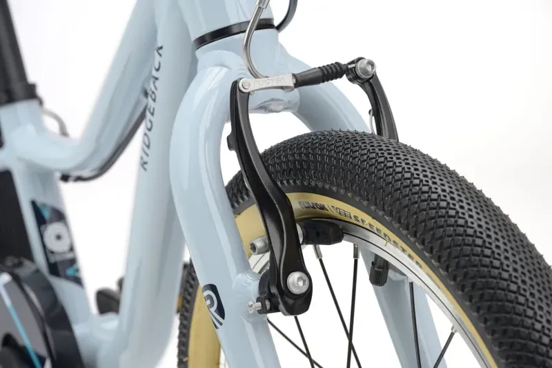 Ridgeback Dimension 16 Kids Bike in Bristol Blue-6