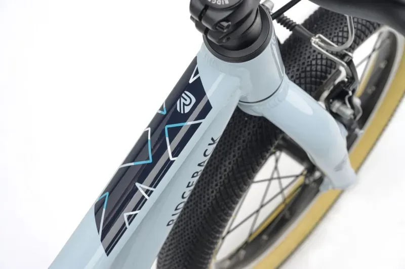 Ridgeback Dimension 16 Kids Bike in Bristol Blue-8