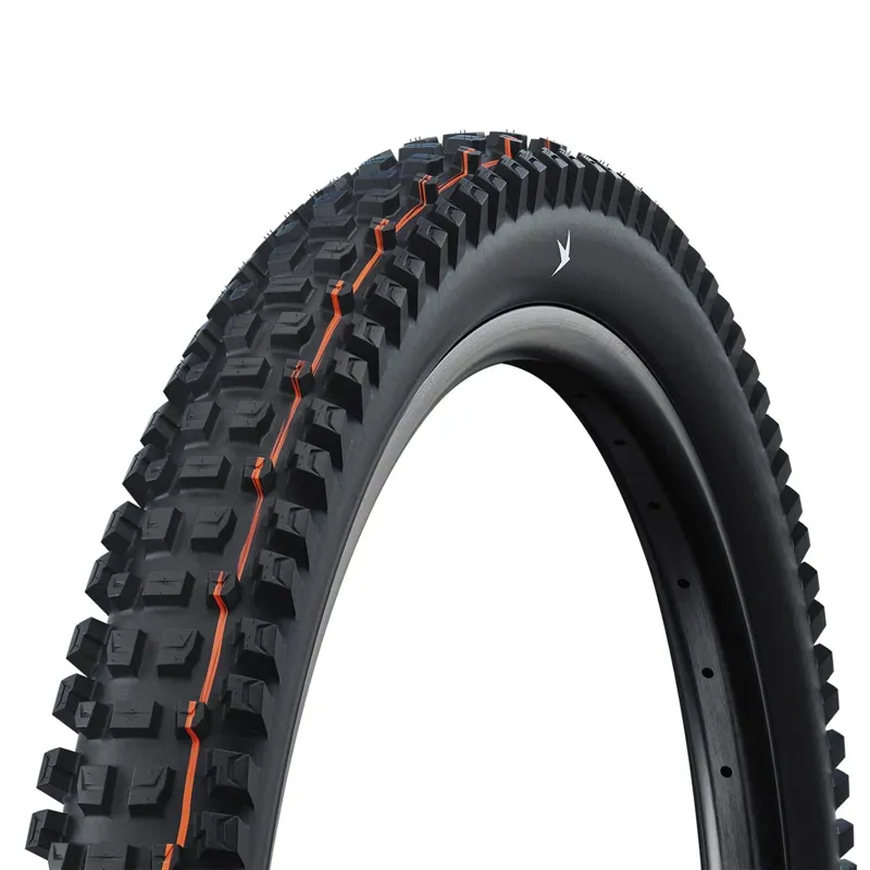Schwalbe Albert Gravity Pro Tyre Radial Soft TLR in Black