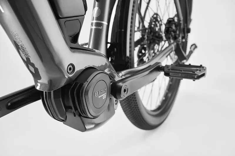 Diamont Zing Trip Core Low Step 800wh E-Bike -2